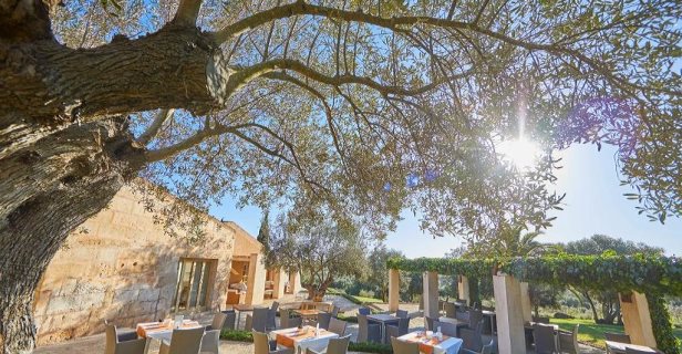 Son Penya Petit Hotel