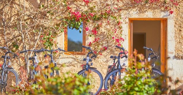 Son Penya Petit Hotel