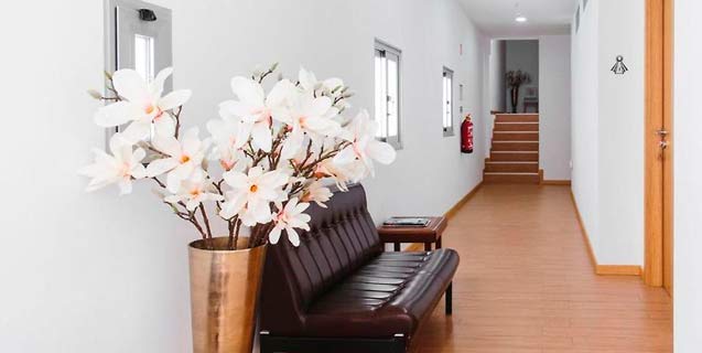 The Colony Guest House
