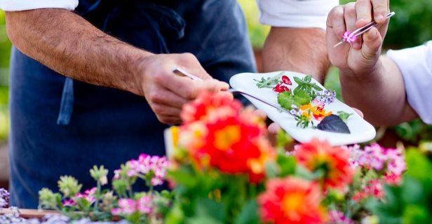 The Cook Book Gastro Boutique Hotel Spa