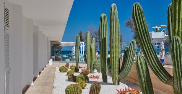 The Sea Hotel By Grupotel