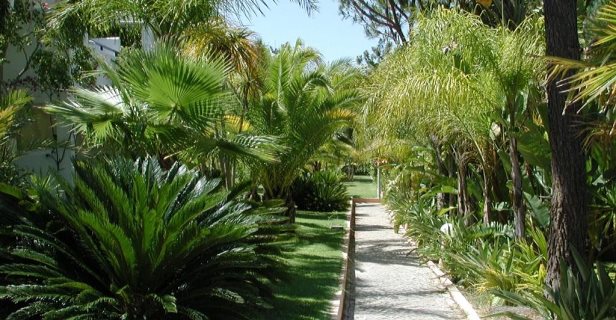Vale Do Garrao Villas