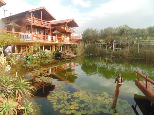 Villa Ana Margarida By Nature