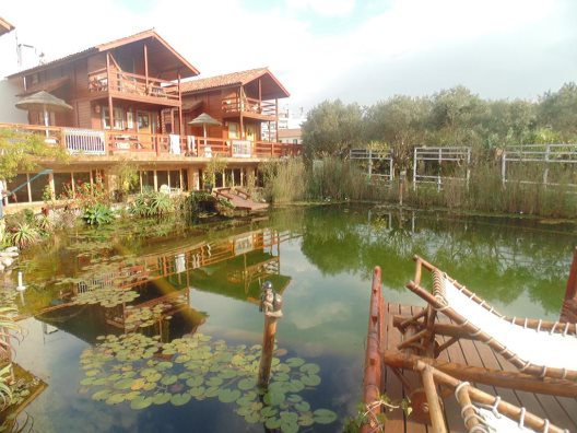 Villa Ana Margarida By Nature