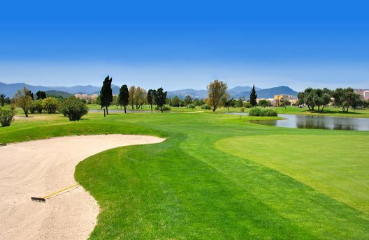 Villas Oliva Nova Golf