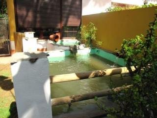Vivienda Rural Los Pepe