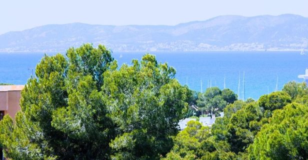 Welikehotel Fenix Mallorca