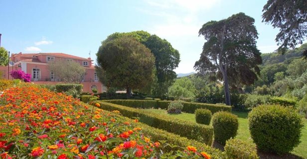 Wot Sintra Sarrazola