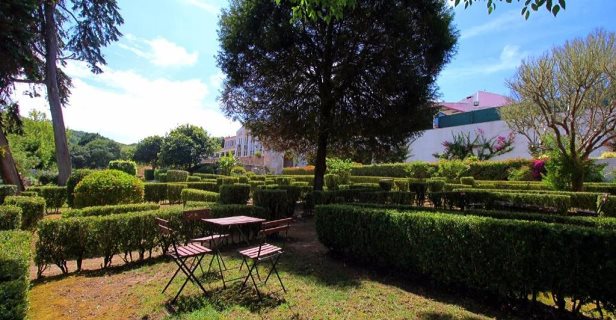 Wot Sintra Sarrazola
